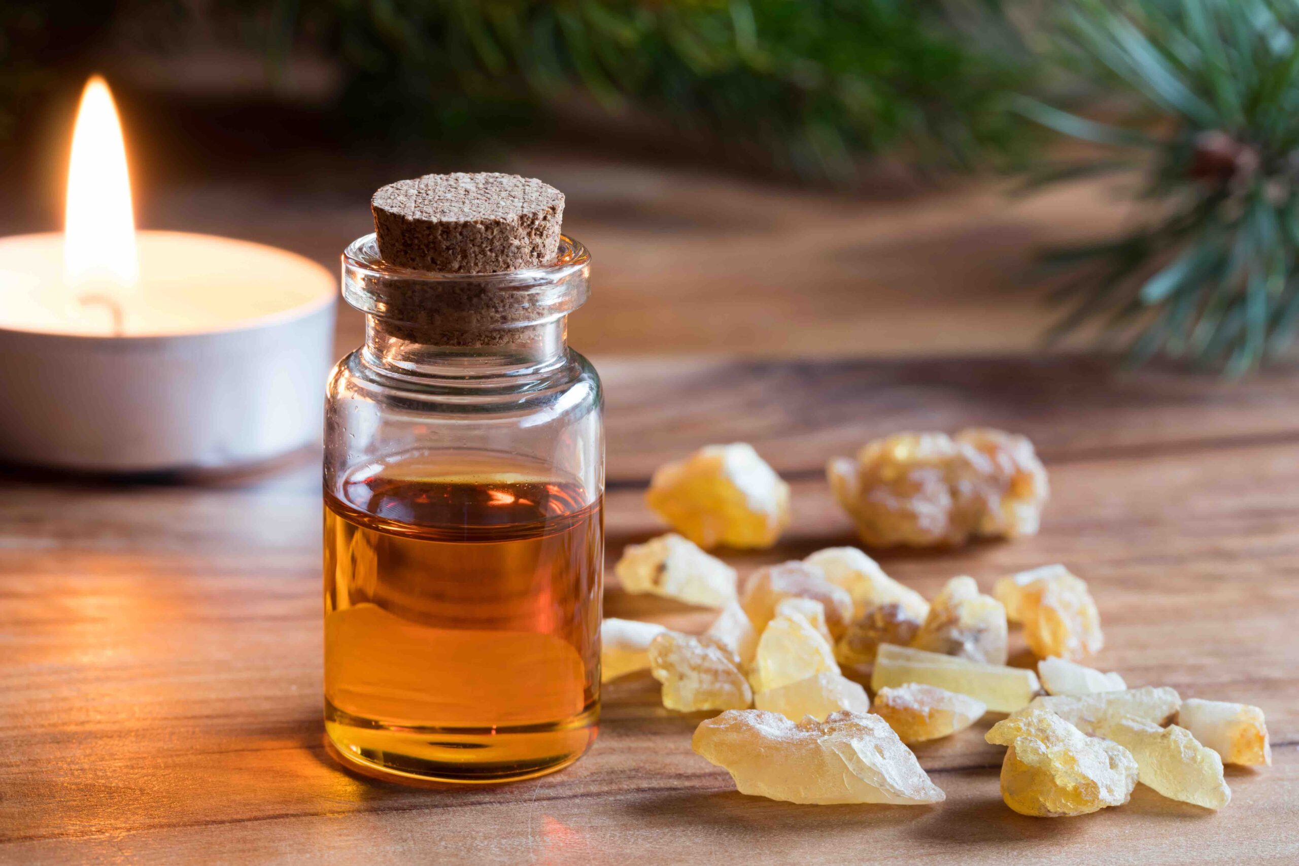 Frankincense Infused CBD Isolate Cream Goldencense,Frankincense health benefits