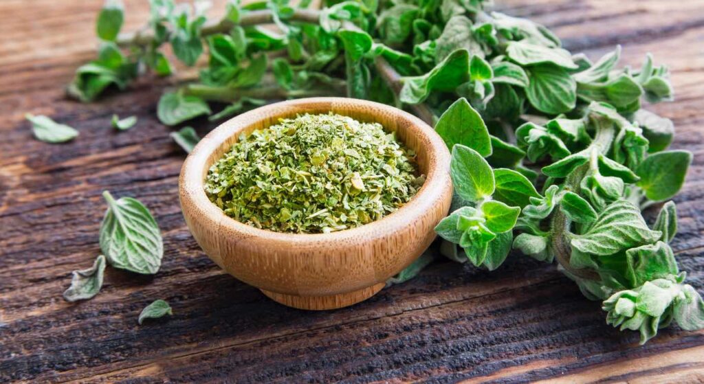 Oregano For Urinary Tract Infections - Advanced Body Foods