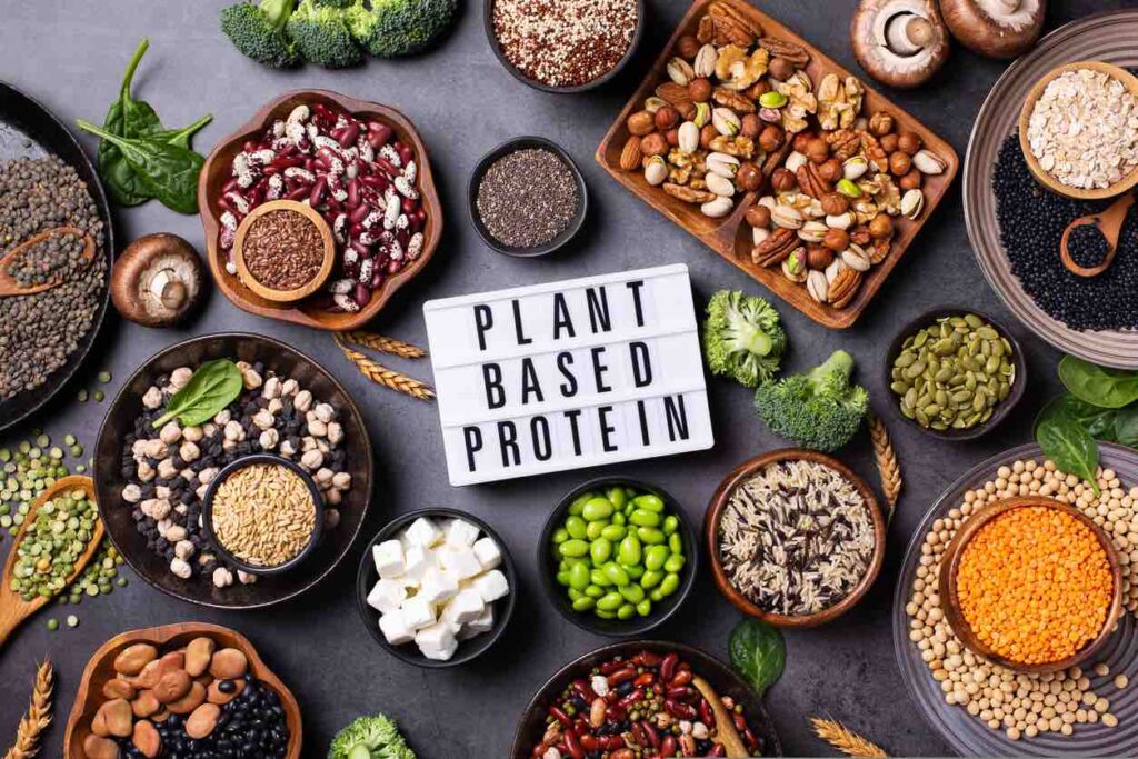 Plant Based Protein - Advanced Body Foods Supplement For Energy 