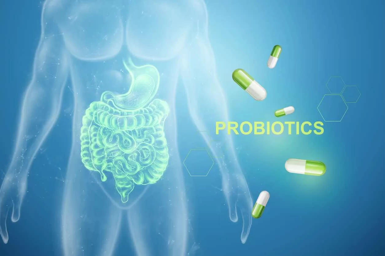 The 3 Best Foods for Gut Health | Probiotic Power