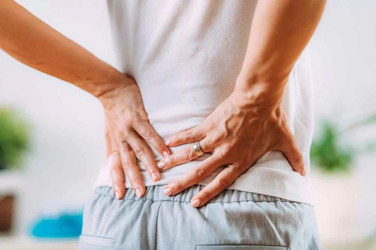 Herbal Supplement For Back Pain