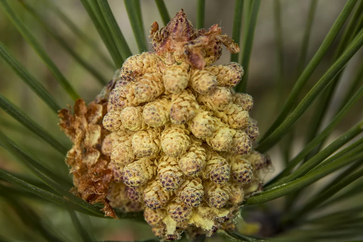 iStock 2165819794 jpg